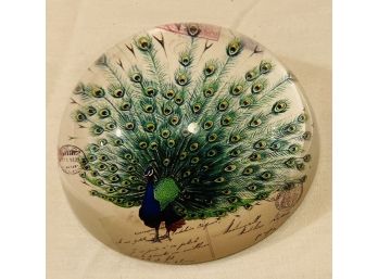 Blown Glass Paperweight With Peacock Inside, Marked