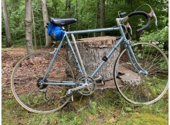 Vintage Custom Trek Italian Men's Bicycle (B)