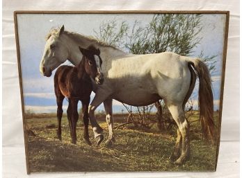 Nature's Gallery White Horse & Brown Pony