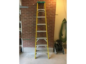 Werner 8 Ladder, Good Condition