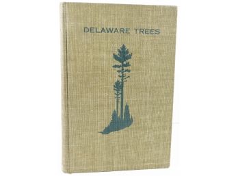 Delaware Trees - A Guide To The Identification Of The Native Tree Species - 1937 - Scarce Book