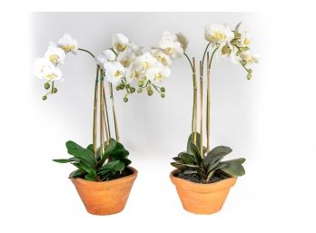 Pair Of Small Faux Orchid Planters