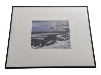 Framed Signed Photograph By Janet Zuckerman