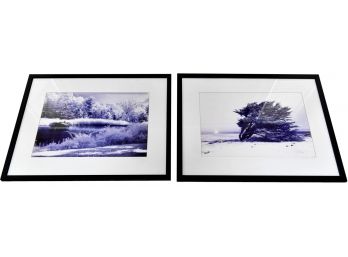 Pair Of Framed Photographs By Janet Zuckerman