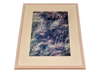 Framed Signed Photograph Of A Windy Pussy Willow Pasture By Janet Zuckerman