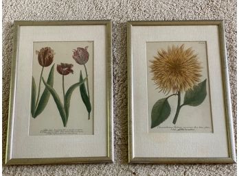 Pair Of Vintage Botanical Motif Framed Prints