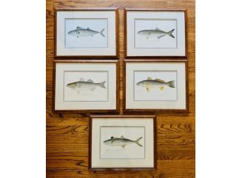 For Your Fisherman!Grouping 5 Denton Framed Prints And Three Wood Decoys  Prints In Burlwood Frame(LOC:F2)