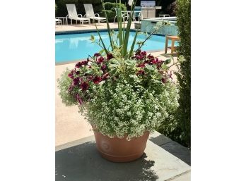 Gorgeous Floral Planter Filled  With Petunias , Sweet Alyssum , Greens And More! #1