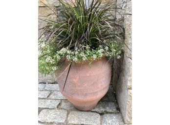 Terracotta Urn Style Planter With Greens And Flowers #1