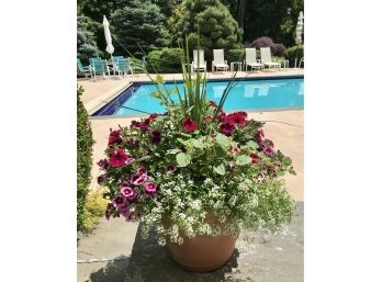 Gorgeous Floral Planter Filled  With Petunias , Sweet Alyssum , Greens And More! #2