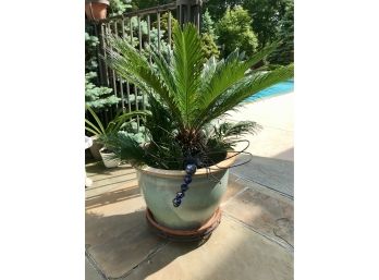 Pineapple Plant On Rollers ( 1 Of 2 Listed Separately)
