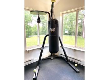 Everlast Punching And Speed Bag