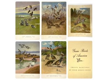 'Game Birds Of America' - Five Prints By Lynn Bogue Hunt - 1940s