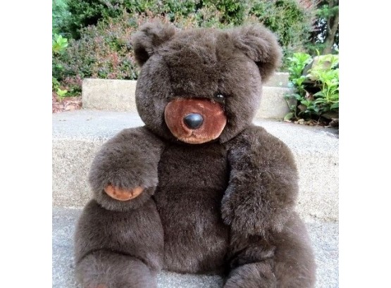 Cute, Cuddly Beggin' Bear - Lonely And In Need Of A Friend