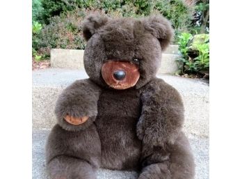 Cute, Cuddly Beggin' Bear - Lonely And In Need Of A Friend