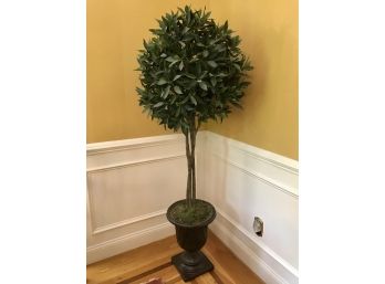 Large ETHAN ALLEN Sweet Bay  Topiary Retail $ 500