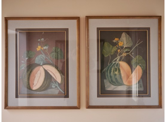 Pair Of Framed Botanical Prints   A