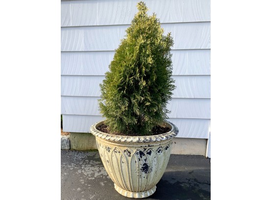 Resin Cement Look Planter With Small Tree (3 Of 3)   A
