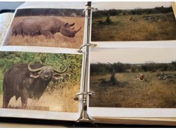 1985 Travel Journal/diary- CT Woman On African Safari. Daily Journal Entries, Animal Photographs & Postcards