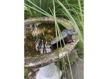 Garden Find ~ Cast Cement Birdbath With Bird Figure