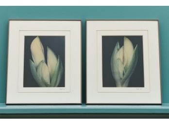 Pair Of Framed Signed Madi Photographs Of Flowers Budding