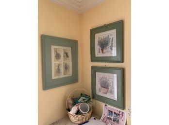 Group Of 3 Green Framed Botanical Prints - (2) Are 18x18. 1 Is 20 X 24