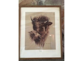 Vintage Print Of A Buffalo By Paul A Rossi. Singed And Inscribed In Pencil.