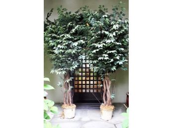 A Pair Of Large Faux Ficus Trees