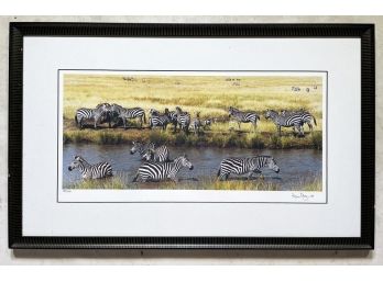 A Large Zebra Photograph