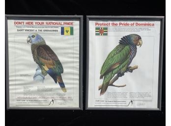 Pair Of Framed National Bird Of Saint Vincent And Dominica From Explorers Club Auction, NYC