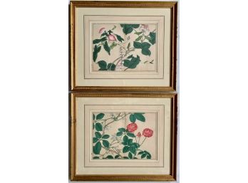 Two Vintage Botanical Hand Colored Book Page Engravings