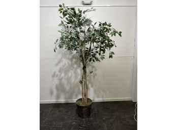 Large Faux Ficus Tree - 82' H