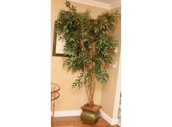 Large Surreal Ficus Tree In Decorative Planter