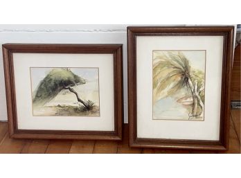 2 Vintage Watercolors Aruba Palm And Aruba Divi Tree