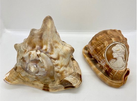 Cameo Relief Carved Seashell & Other Embellished Shell
