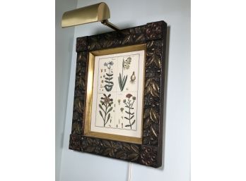 Wonderful Framed Botanical From CLAPP & TUTTLE In Woodbury CT - VERY Expensive Decorator / Antiques Dealer