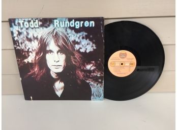 Todd Rundgren. Hermit Of Mink Hollow On 1978 Bearsville Records Stereo. Vinyl Is Near Mint. Jacket Is VG.