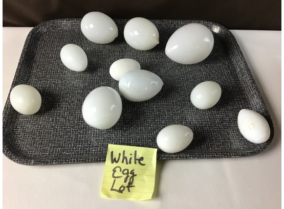 Whate Egg Lot