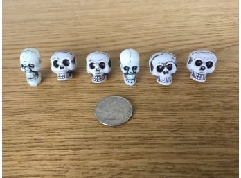 Lot Of Six (6) Skulls.