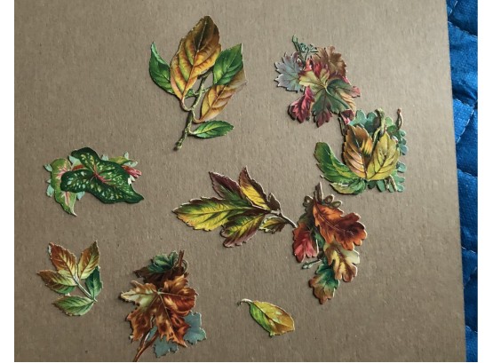 1880s Diecut Scrap Leaves