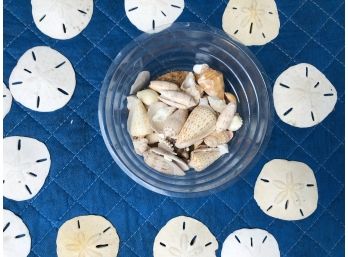 Charming Collection Of Family Found Sand Dollars And Sea Shells