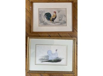 Two Framed Poultry Prints
