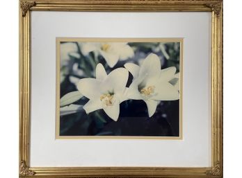 Elegant White Lily Photography Print In Gilt Frame