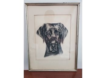 Vintage Puppy Dog Charcoal Pencil Drawing