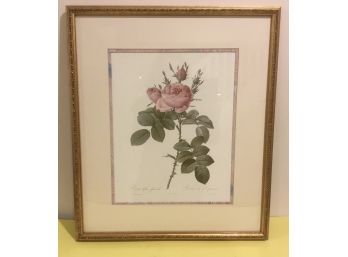 Rose Picture, Golden Gilded Frame, Paisley Matting