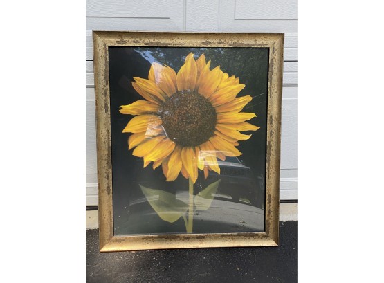Sunflower In Distressed Gilt Frame #1