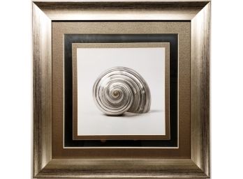 Decorative Seashell - 1 - Beautiful Framing - Linen Custom Matting