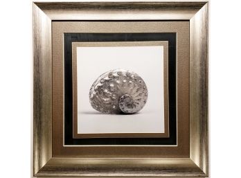 Decorative Seashell - 4 - Beautiful Framing - Linen Custom Matting