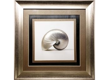 Decorative Seashell - 3 - Beautiful Framing - Linen Custom Matting