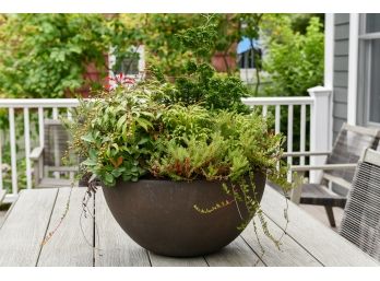 Beautiful Dome Shaped Planter With Assorted Live Plants